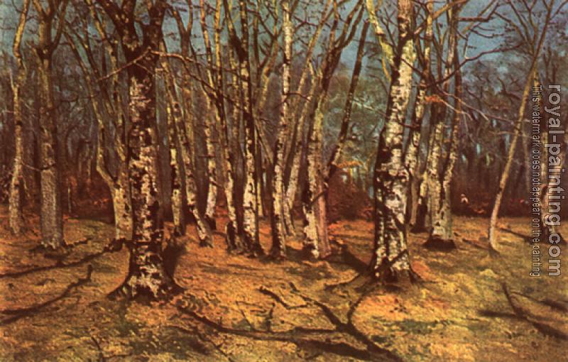 Ion Andreescu : Beech forest